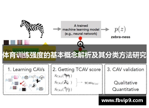 体育训练强度的基本概念解析及其分类方法研究